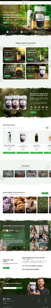 02 Website Design